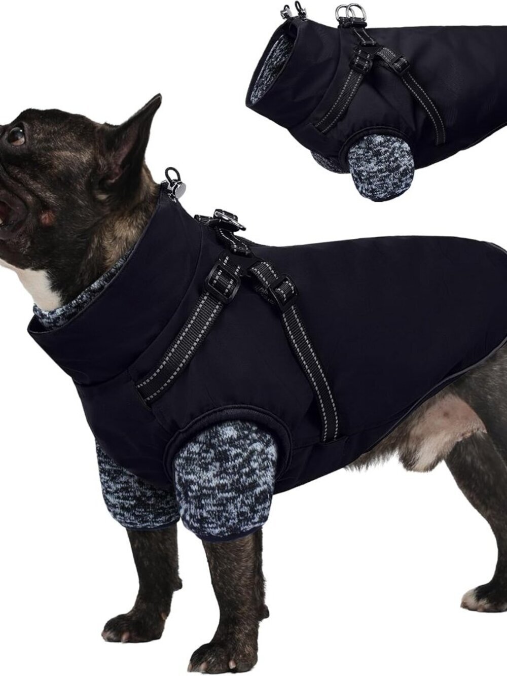 Lelepet Dog Coat 3 in 1